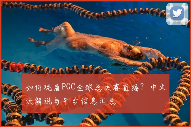 如何观看PGC全球总决赛直播？中文流解说与平台信息汇总