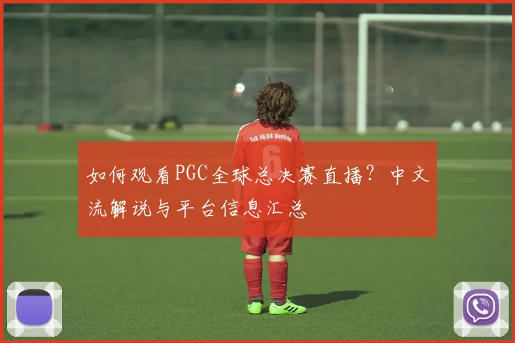 如何观看PGC全球总决赛直播？中文流解说与平台信息汇总