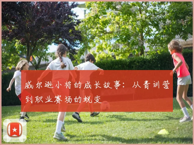 威尔逊小将的成长故事：从青训营到职业赛场的蜕变