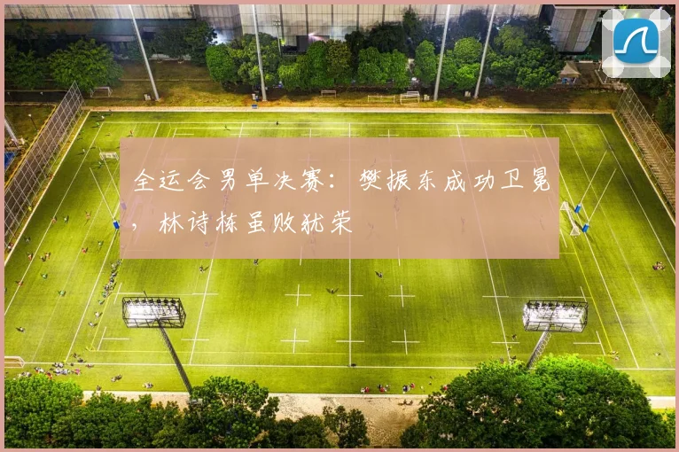 全运会男单决赛：樊振东成功卫冕，林诗栋虽败犹荣