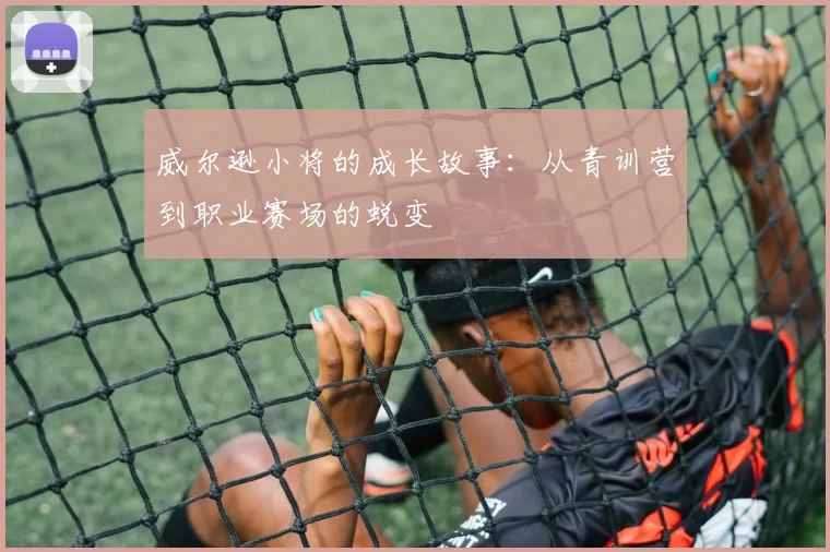 威尔逊小将的成长故事：从青训营到职业赛场的蜕变