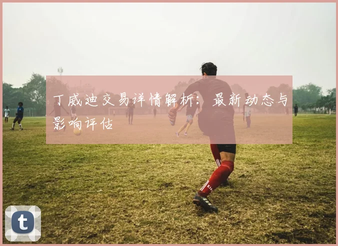 丁威迪交易详情解析：最新动态与影响评估